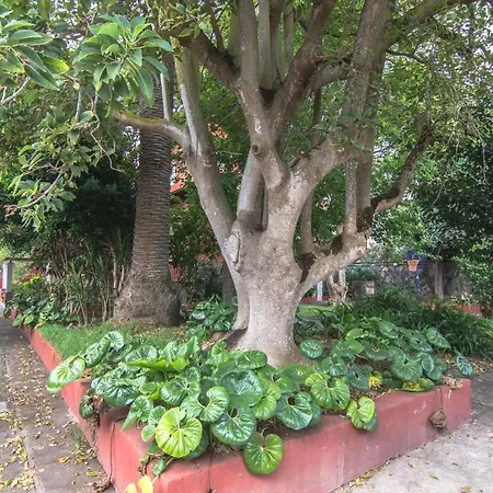 Maria Holiday home *